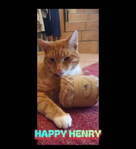 Kater Sir Henry